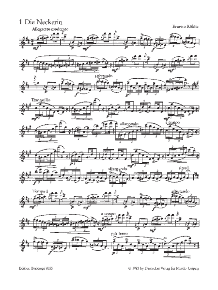 Lucchesi, Immanuel - Flute Etudes Vo 2