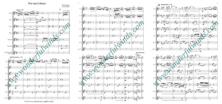 Gardel, Por ulna Cabeza, Flute Orchestra Digital Download
