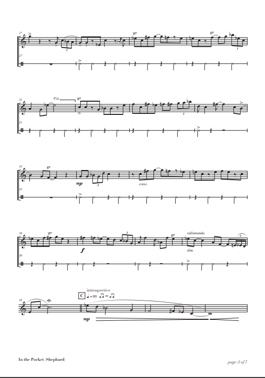 Shephard , John - In the pocket : for solo flute (Digital Download)