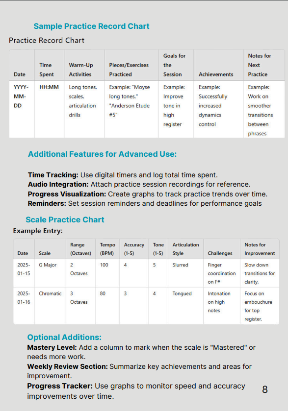 Practicing the flute for success - A Guide for Musicians - E-Books