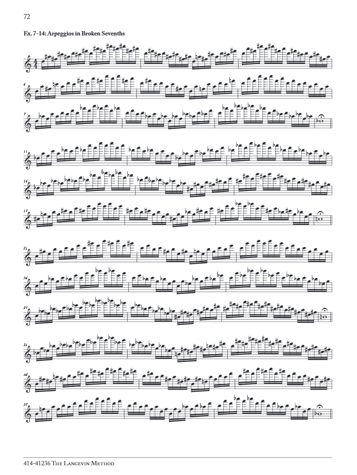 The Langevin Method developing musical artistry through efficient practice
