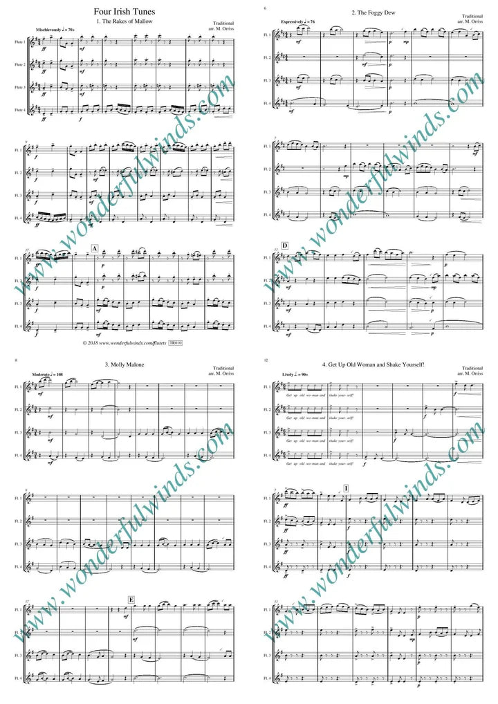 Trad.: Four Irish Tunes for flute quartet - Digital Download