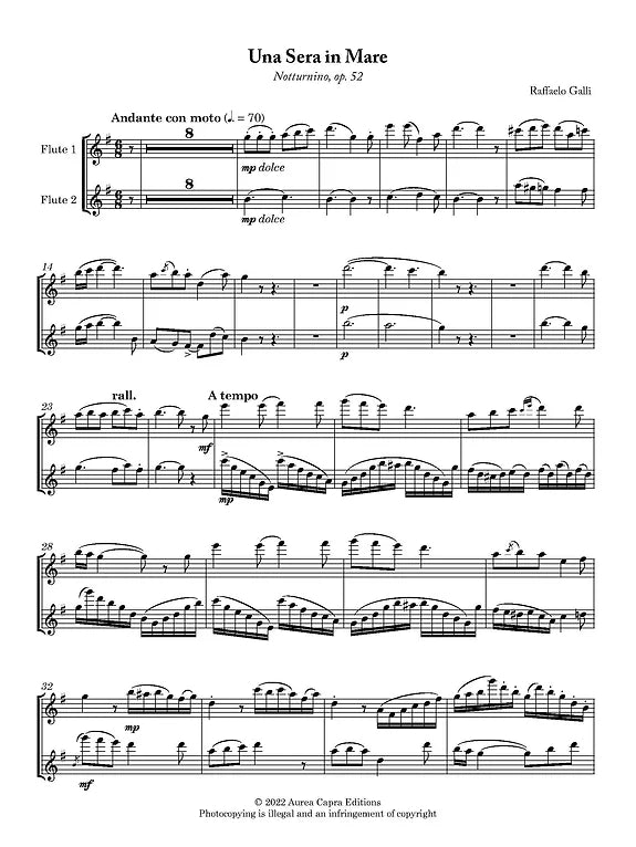 Raffaello Galli - Two Fantasies for two flutes and piano - Digital Download