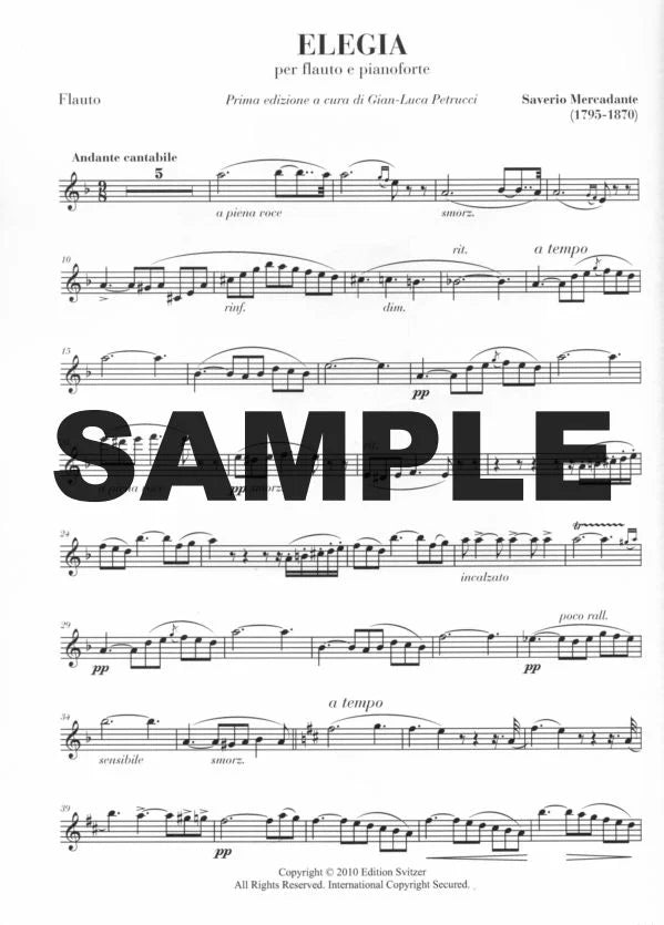 Mercadante - Elegia for flute and piano