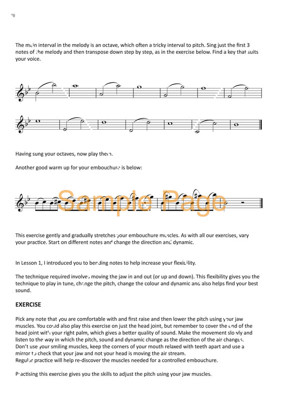 Southworth, Clare - Flute Reboot