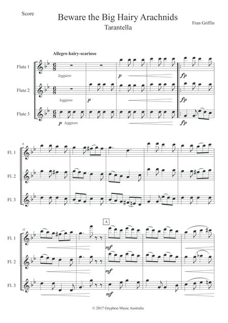 Griffin, Fran - Beware The Big Hairy Archnids for flute trio (Instant Download)