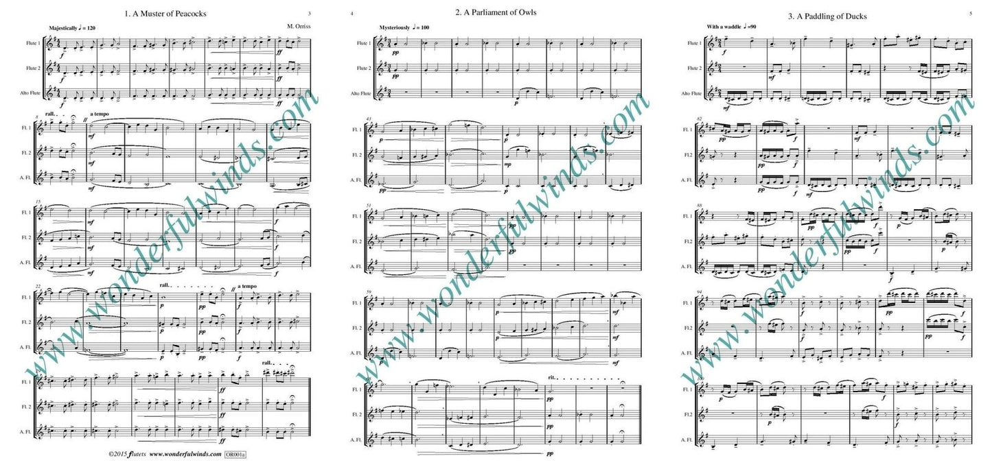 Orriss: Tweets - for flute trio - Digital Download