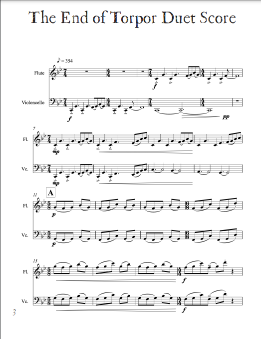 Hankin, Jen - The End of Tropor for flute and cello (Digital Download)