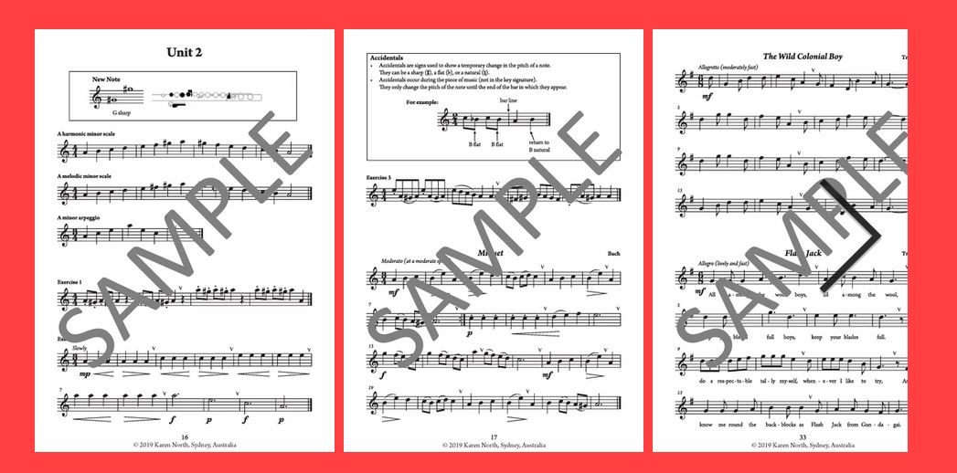 The Young Flute Player Book 2