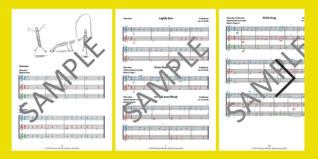 The Young Flute Player Book 4 Beginner Duets & Trios (Instant Download)