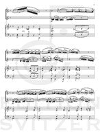 Doppler, Carl & Franz - Hungarian Shepherds Song Fantasie (World Premier Edition)