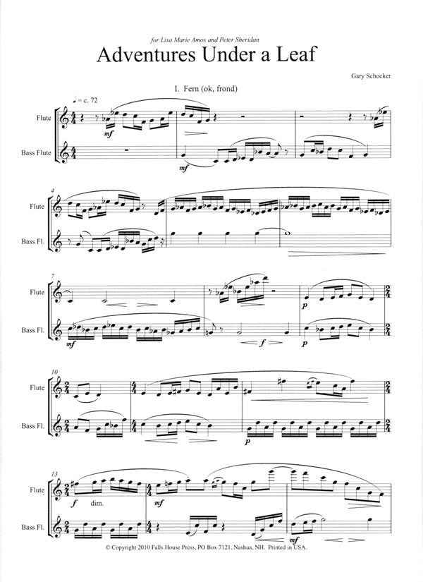 Schocker,Gary - Under a leaf for bass flute and flute (Presser)