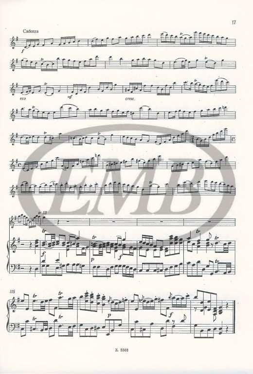 Quantz - Concerto in G Major QV5:192 REDN for flute and piano