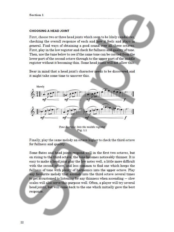 Wye, T - Flute Secrets