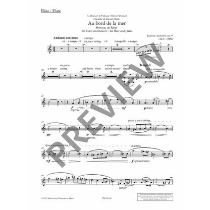 Joachim Andersen ,Kyle Dzapo (Editor) Au bord de la mer op. 9