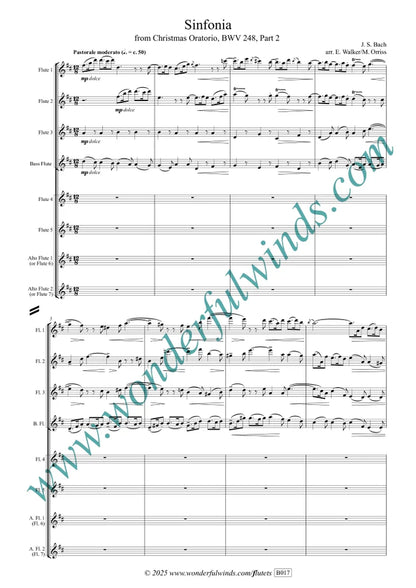 Bach, J. S. - Sinfonia (Christmas Oratorio BWV 248) for double flute quartet/ensemble-   Digital Download