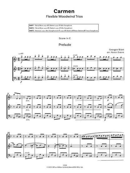 Bizet, Georges: Carmen (Suite). Flexible Woodwind Ensemble