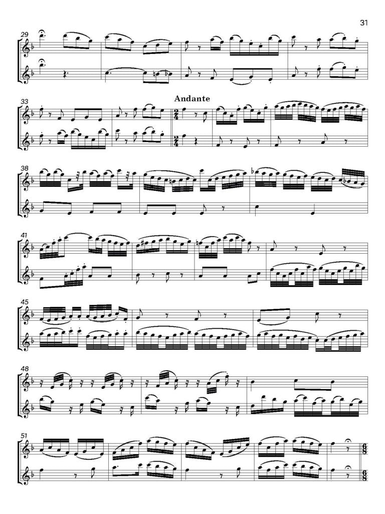 Mozart, W.A.: Seventeen Violin Duets from The Magic Flute