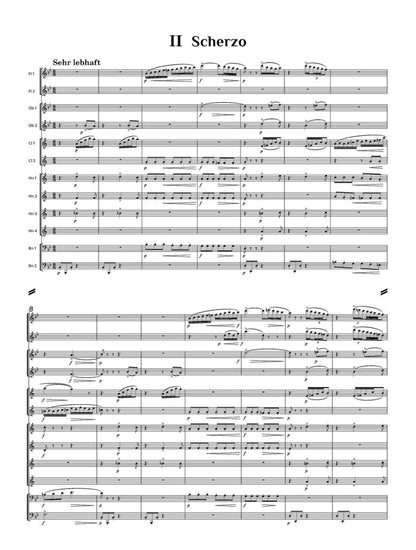 Berger, Wilhelm: Wind Serenade Op. 102 – Score only Wind Ensemble - Digital Download