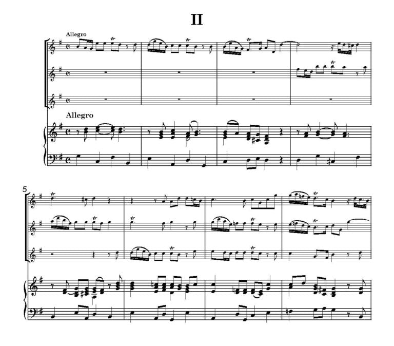 Marcello, A - Concerto di Flauti for recorders and strings - Digital Download