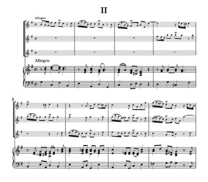 Marcello, A - Concerto di Flauti for recorders and strings - Digital Download