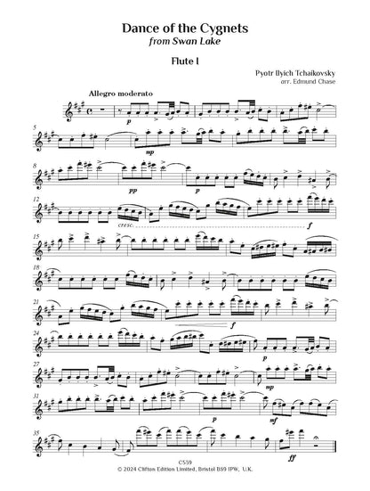 Tchaikovsky and Bizet for 2 Flutes and Piano