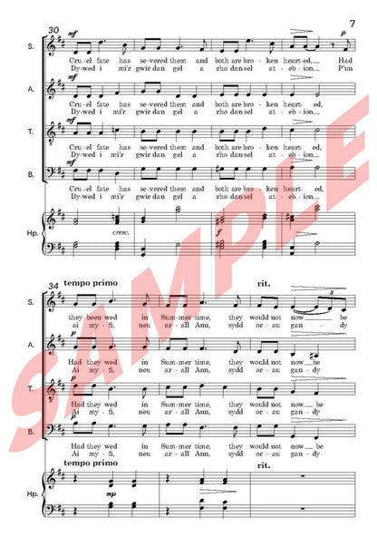 Bugeilio’r Gwenith Gwyn.Soprano Soloist with SATB and Harp/Piano   - Digital Download