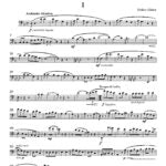 Glatz, Helen - Hungarian Folk Song Suite for two bassoons and piano - Digital Download