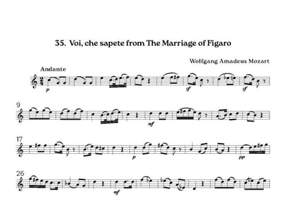 Hunt, Simon - Melodies for pleasure for solo flute or solo clarinet or solo oboe - (Digital Download)