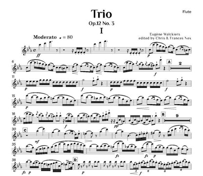 Eugène Walckiers ed. C M M Nex ed. F H Nex - Trio Op. 12 No. 3 in C minor Score and Parts- Digital Download