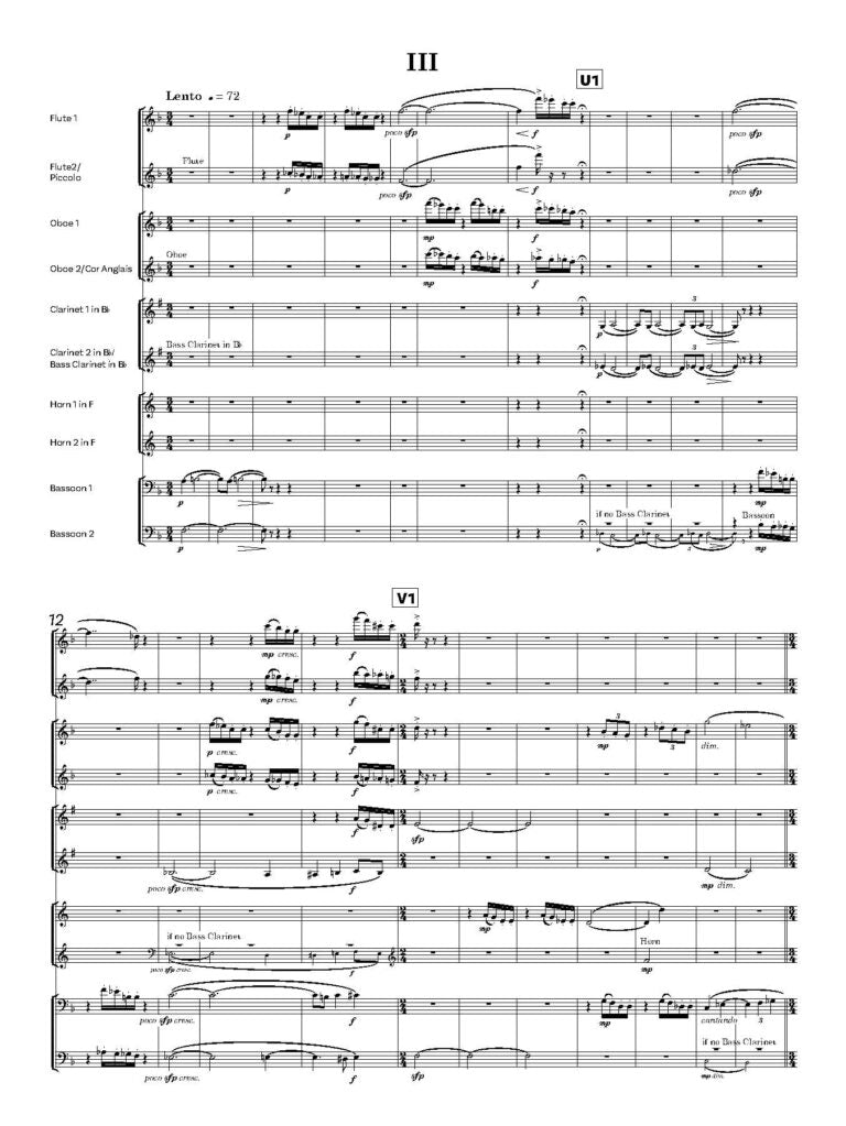 Sims-Williams, N - Serenade for ten wind instruments – Score only - Digital Download