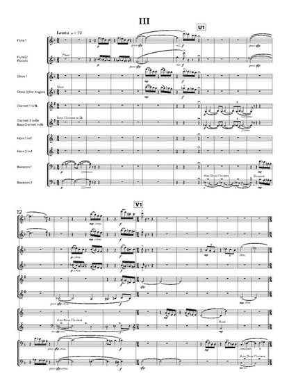 Sims-Williams, N - Serenade for ten wind instruments – Score only - Digital Download