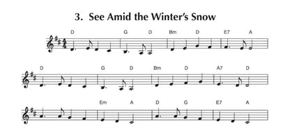 Violin Carols - (Digital Download)