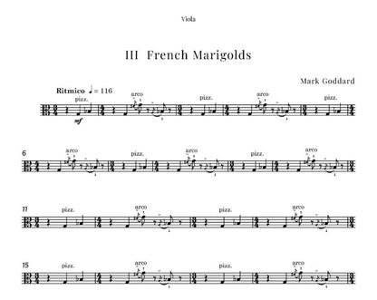 Chesterton Flowers (String Quartet)- Digital Download