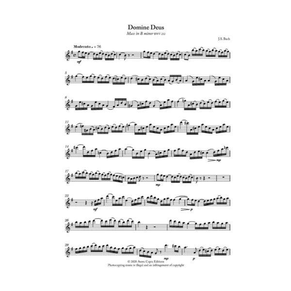 JS Bach Flute Obbligatos with piano accompaniment vol. 1 - Digital Downloads