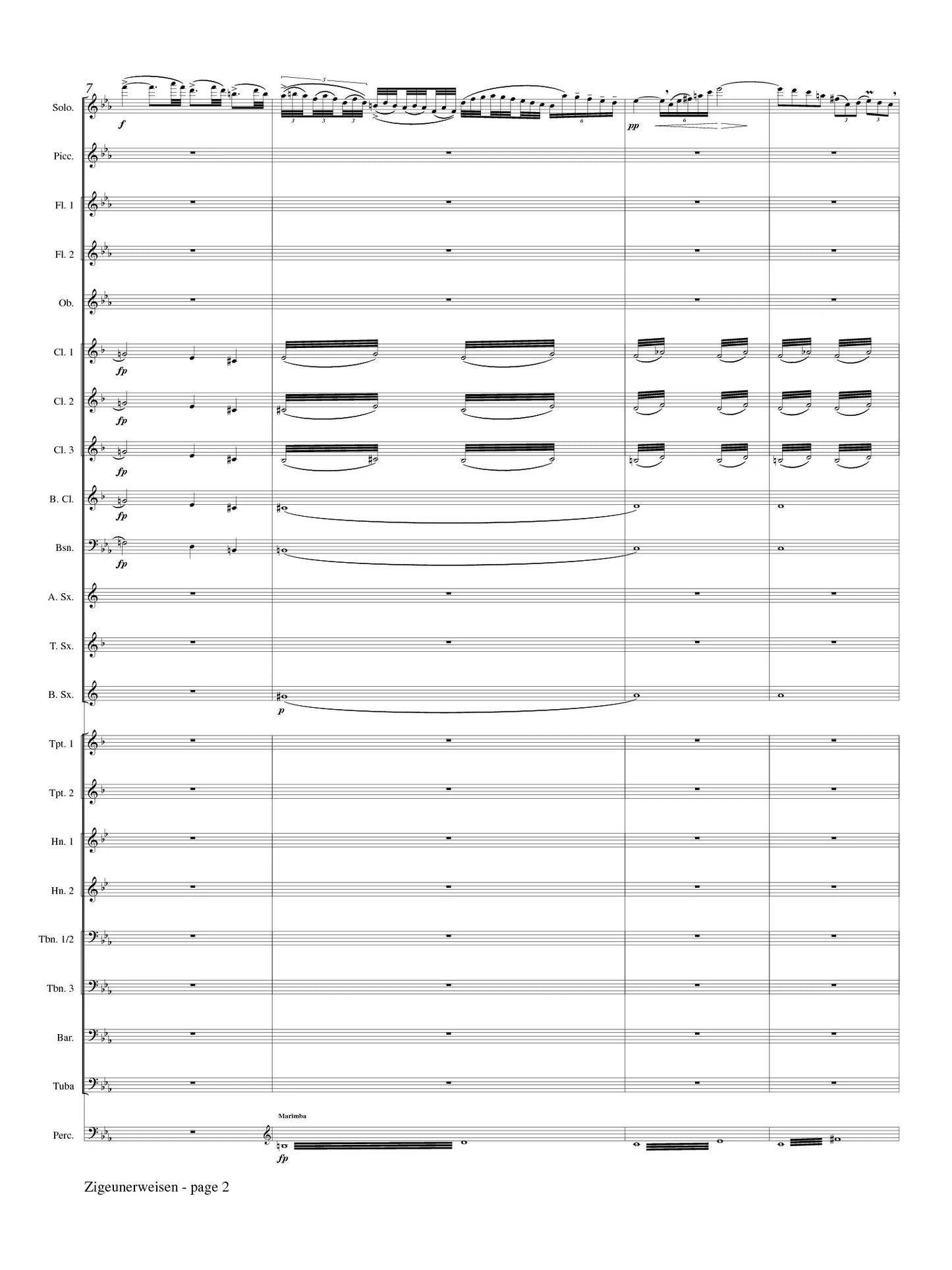 Sarasate (arr. Maddox/George) - Zigeunerweisen (Solo Flute and Concert