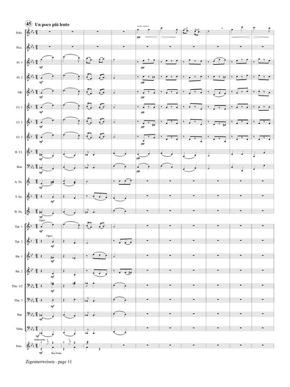 Sarasate (arr. Maddox/George) - Zigeunerweisen (Solo Flute and Concert
