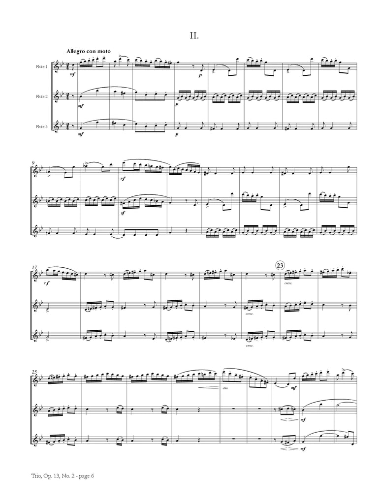Kuhlau - Trio in G minor, Op. 13, No. 2 for Flute Trio