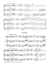 Hailstork - Divertimento -for 3 flutes