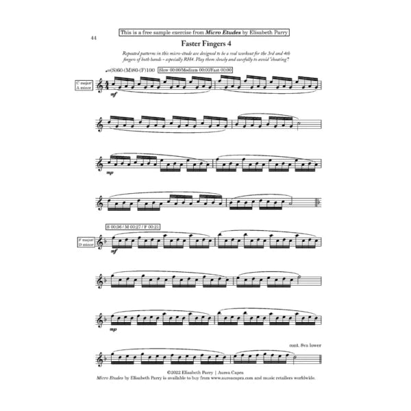 Parry/Alley Micro Etudes for solo flute - Digital Download