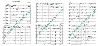 Gardel, Por ulna Cabeza, Flute Orchestra   Digital Download