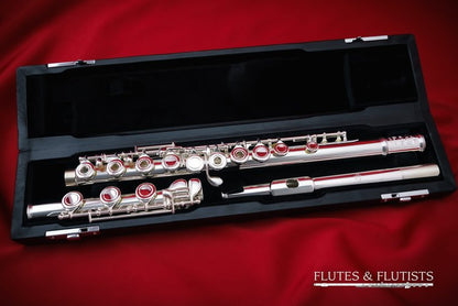 Di Zhao Flute DZ-501BEF