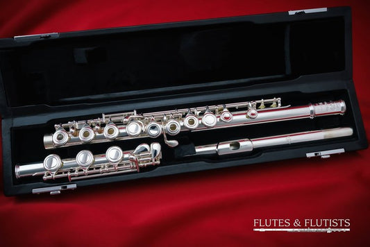 DI ZHAO Intermediate Flute | DZ-701