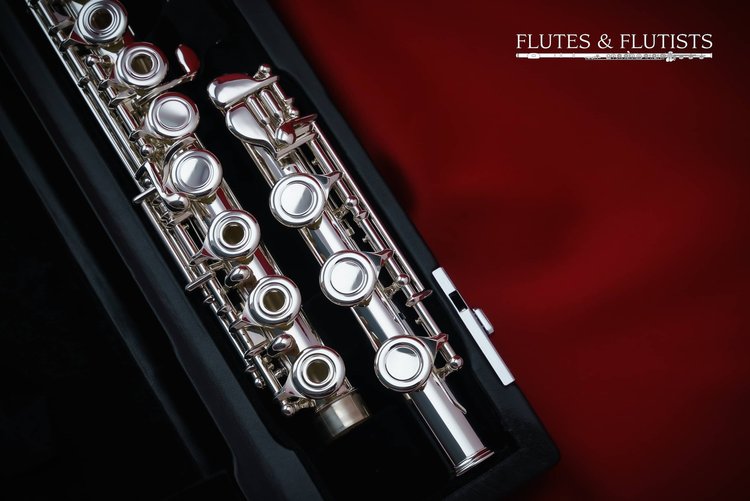 DI ZHAO Intermediate Flute | DZ-701