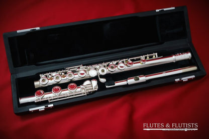 Di Zhao Flute DZ-401BEF