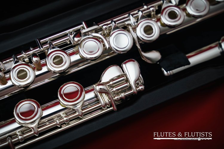 Di Zhao Flute DZ-401BEF