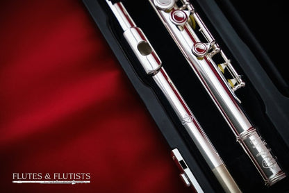 Di Zhao Flute DZ-401BEF