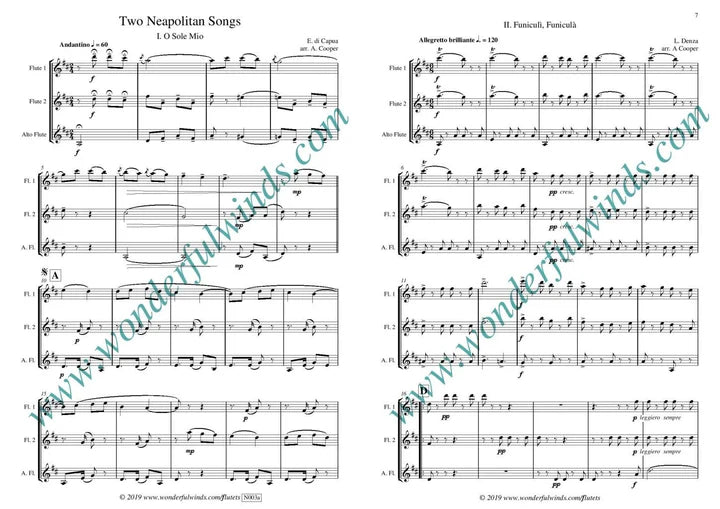 Two Neapolitan Songs - di Capua, E./Denza, L. for 3 flutes 2 flt 1 alto flt- digital download