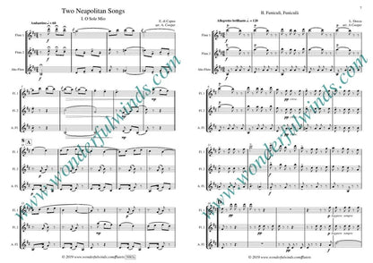 Two Neapolitan Songs - di Capua, E./Denza, L. for 3 flutes 2 flt 1 alto flt- digital download