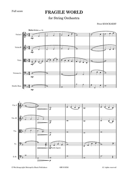 Knockaert - Fragile World for String Orchestra